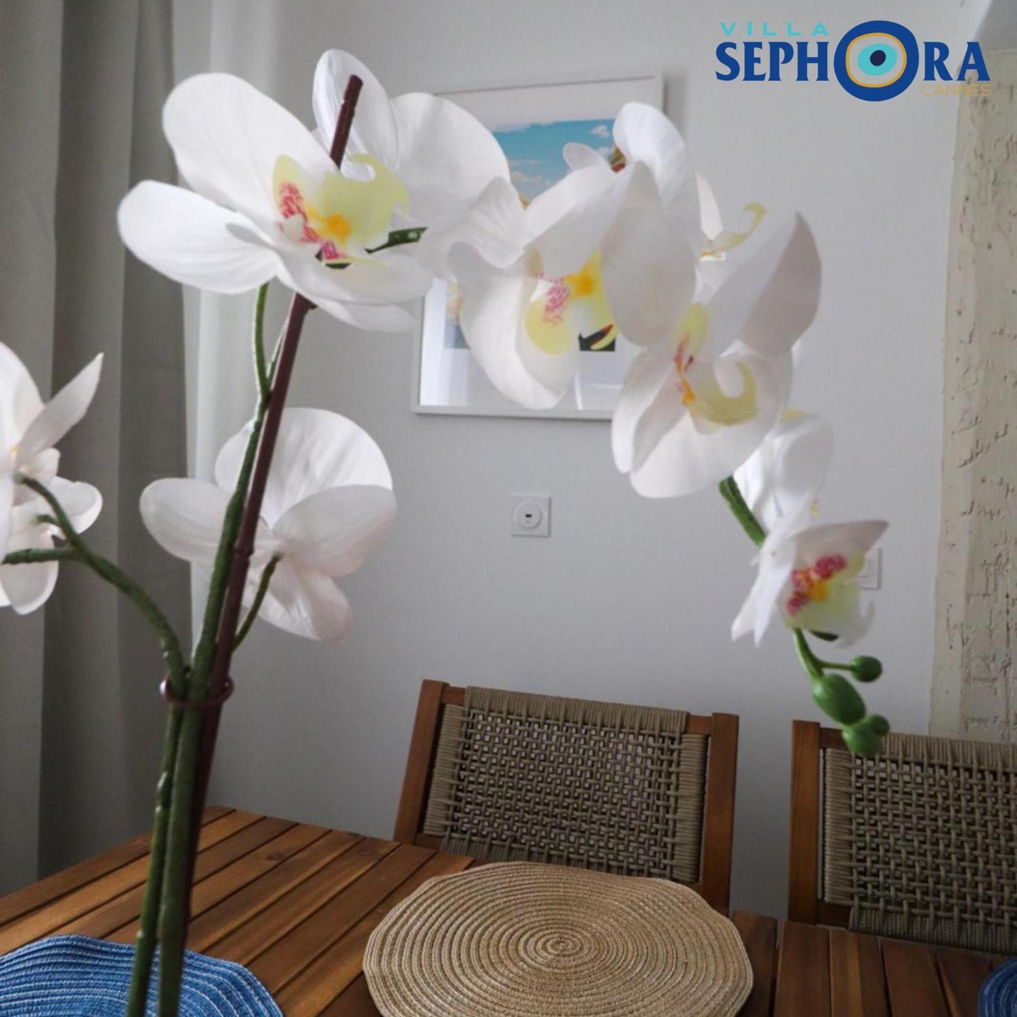 Villa Sephora Cannes Ngoại thất bức ảnh